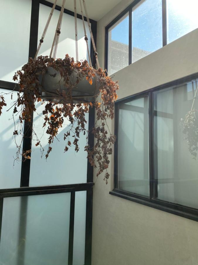 Casa Londres Hotel Mexico City Luaran gambar